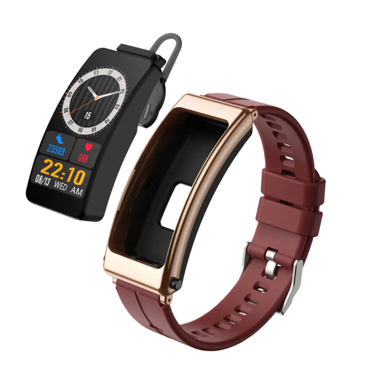 Luxury 2-in-1 Smartwatch with Built-in Wireless Earbuds